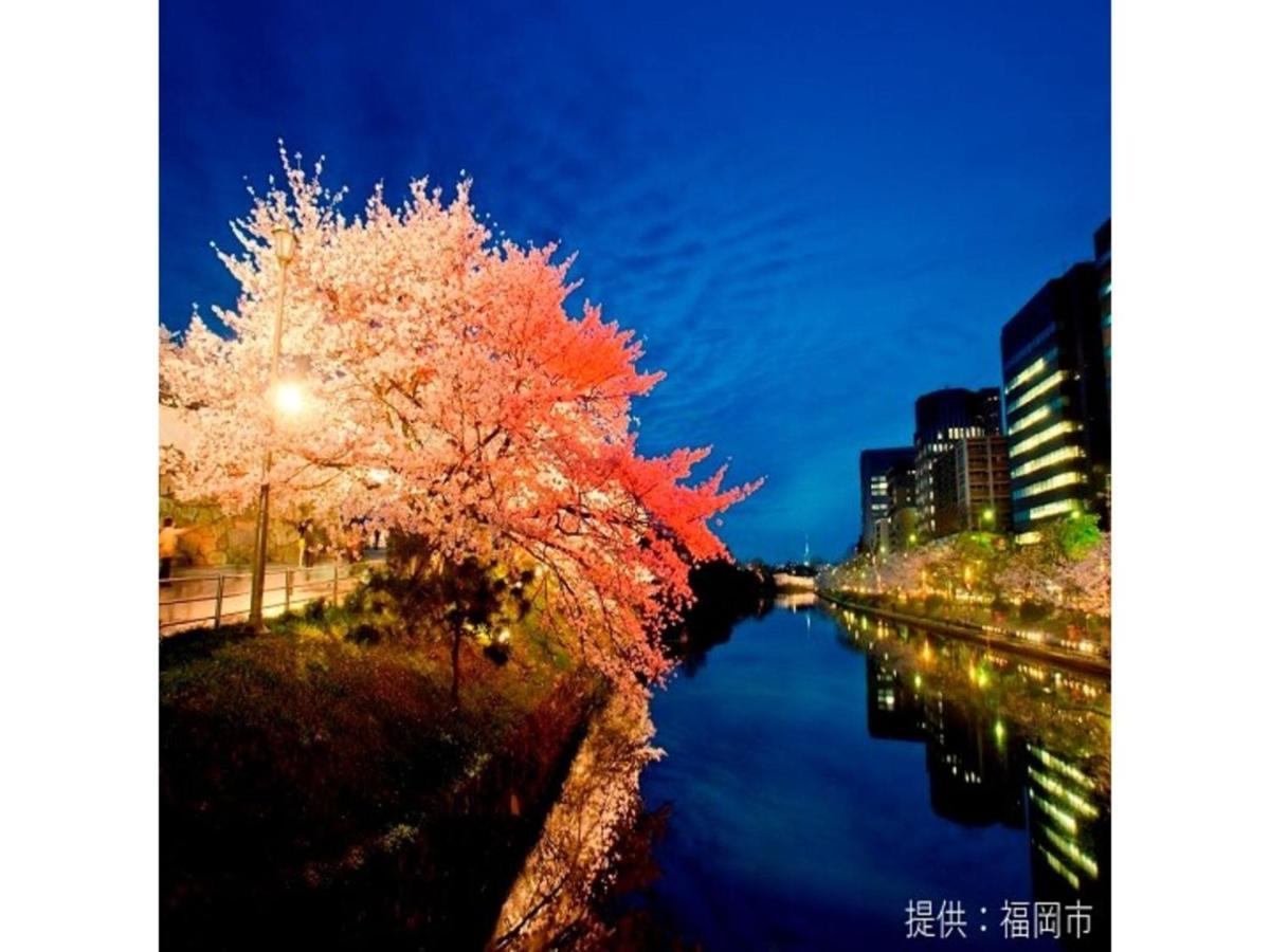 Court Hotel Fukuoka Tenjin - Vacation Stay 42334V Exterior foto